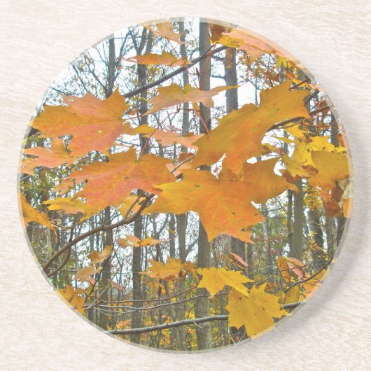 Autumn Maple Foliage Zandsteen Onderzetter (Voorkant)