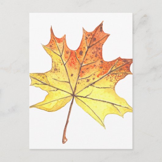 Autumn maple leaf briefkaart (Voorkant)