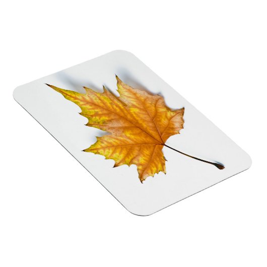 Autumn maple leaf magneet (Rechterzijde)