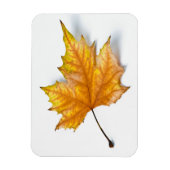 Autumn maple leaf magneet (Verticaal)