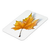 Autumn maple leaf magneet (Linkerzijde)