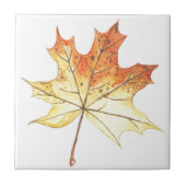 Autumn maple leaf tegeltje (Voorkant)