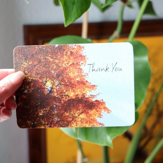 Autumn Maple Leaves Bedankkaart