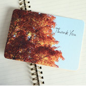 Autumn Maple Leaves Bedankkaart