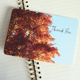 Autumn Maple Leaves Bedankkaart