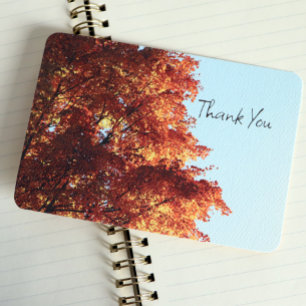 Autumn Maple Leaves Bedankkaart