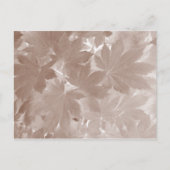 Autumn Maple Leaves Briefkaart (Voorkant)