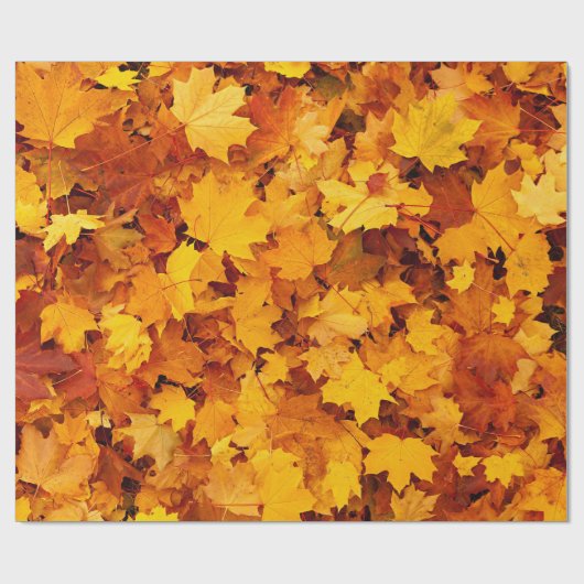 Autumn Maple Leaves Cadeaupapier (Vlak)