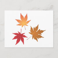 Autumn Maple Leaves Collectie
