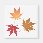 Autumn Maple Leaves Collectie Magneet (Voorkant)