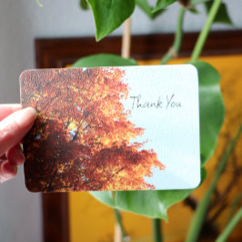 Autumn Maple Leaves Feestdagenkaart