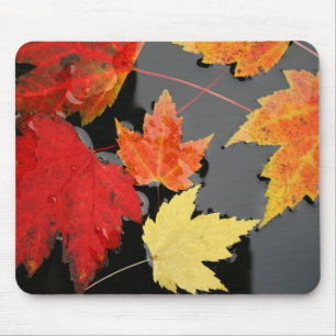 Autumn Maple Leaves kleuren red pond Mousepad Muismat