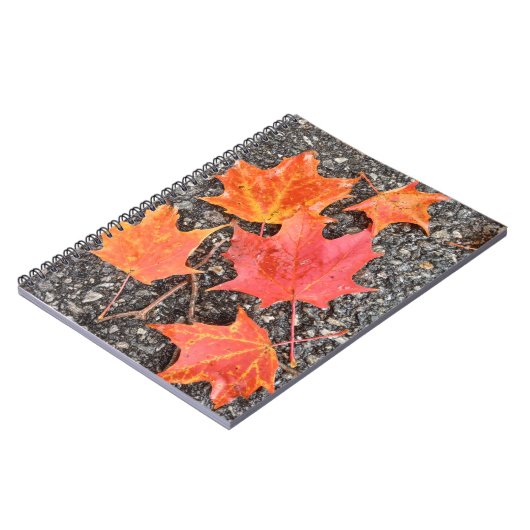 Autumn Maple Leaves Spiral Notebook Notitieboek (Linkerzijde)