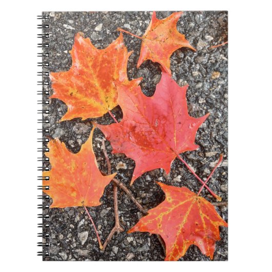 Autumn Maple Leaves Spiral Notebook Notitieboek (Voorkant)