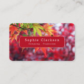 Autumn Maple Tree Leaves, Rustic Visitekaartje (Voorkant)
