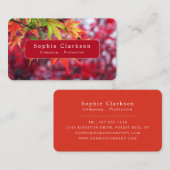 Autumn Maple Tree Leaves, Rustic Visitekaartje (Voorkant / Achterkant)