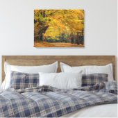 Autumn maple tree overhangend land lane, canvas afdruk (Insitu (Slaapkamer))