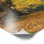 Autumn maple tree overhangend land lane, foto afdruk (Hoek)