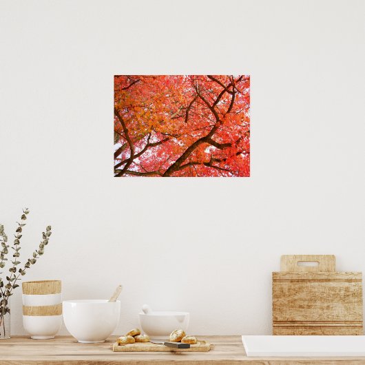Autumn Maple Trees print Poster landschap (Keuken)
