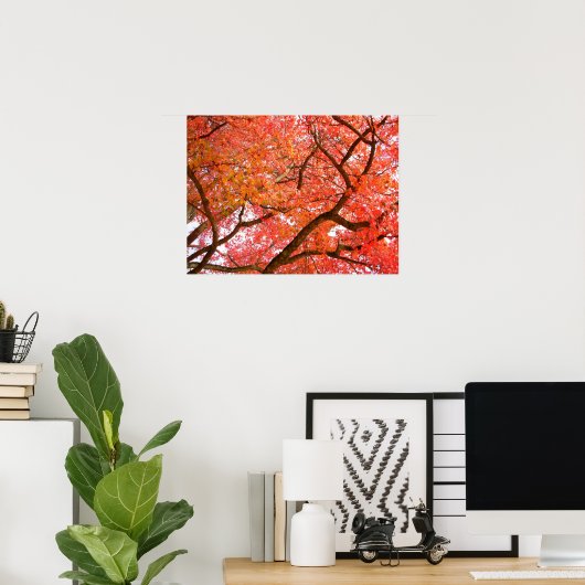 Autumn Maple Trees print Poster landschap (Thuiskantoor)