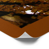 Autumn Maple Trees print Poster landschap (Hoek)