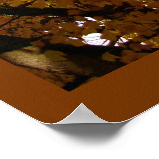 Autumn Maple Trees print Poster landschap (Hoek)