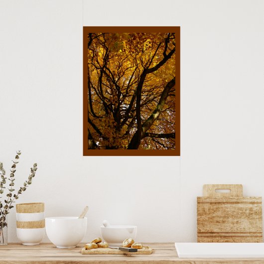 Autumn Maple Trees print Poster landschap (Keuken)