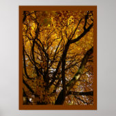Autumn Maple Trees print Poster landschap (Voorkant)