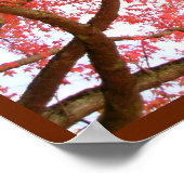 Autumn Maple Trees print Poster landschap (Hoek)