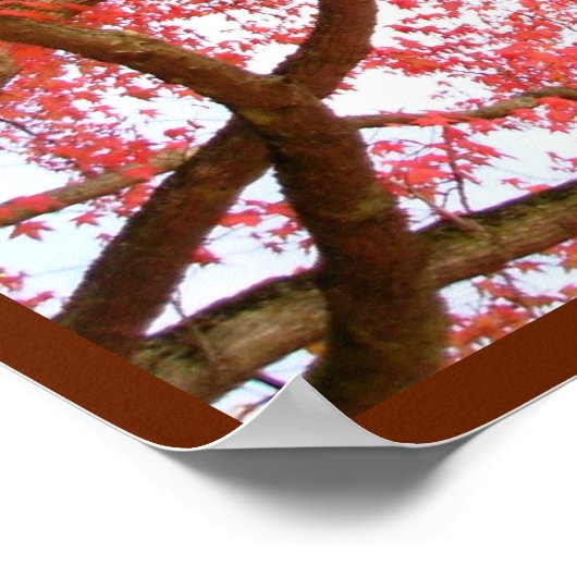 Autumn Maple Trees print Poster landschap (Hoek)