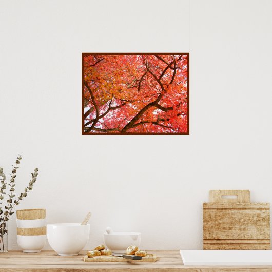 Autumn Maple Trees print Poster landschap (Keuken)