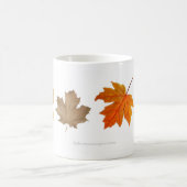 Autumn Maple verliest Mok (Center)