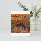 Autumn Mccormick Creek State Park Indiana Briefkaart (Staand voorkant)