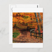 Autumn Mccormick Creek State Park Indiana Briefkaart (Voorkant / Achterkant)