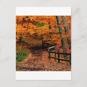 Autumn Mccormick Creek State Park Indiana Briefkaart