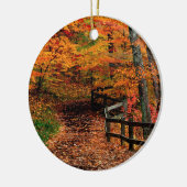 Autumn Mccormick Creek State Park Indiana Keramisch Ornament (Links)