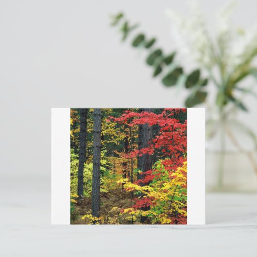 Autumn Michigan Briefkaart (Staand voorkant)