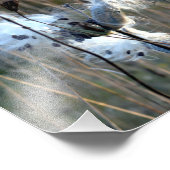 Autumn Milkweed Foto Afdruk (Hoek)