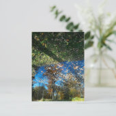 Autumn Miroir of Mirror Briefkaart (Staand voorkant)