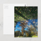 Autumn Miroir of Mirror Briefkaart (Voorkant / Achterkant)
