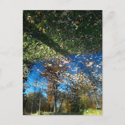 Autumn Miroir of Mirror Briefkaart (Voorkant)