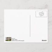 Autumn MO Capitol Briefkaart (Achterkant)