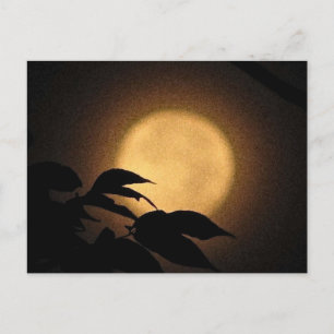 Autumn Moon Briefkaart