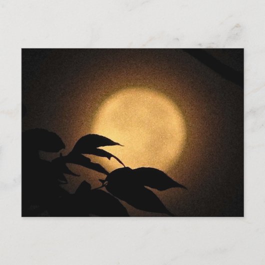 Autumn Moon Briefkaart (Voorkant)