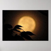 Autumn Moon Poster (Voorkant)