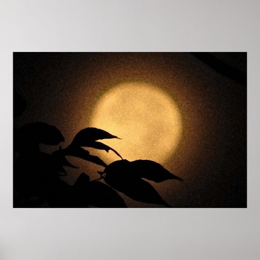 Autumn Moon Poster (Voorkant)