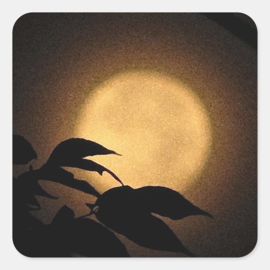 Autumn Moon Vierkante Sticker (Voorkant)