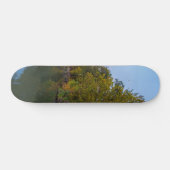 Autumn Morning Lake Springfield Skateboard (Horizontaal)