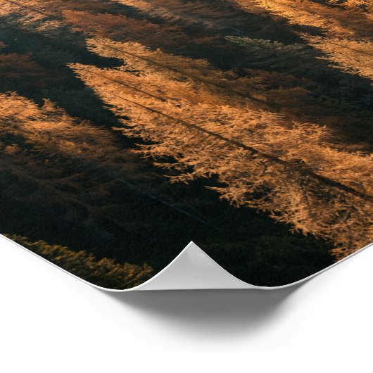 Autumn Mountain Uitzicht met gele larches Poster (Hoek)