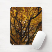 Autumn Mousepad Beauful Autumn Landscape Gifts Muismat (Met muis)